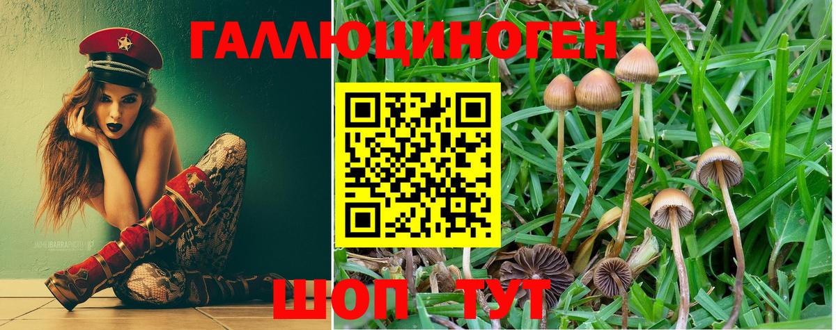 Псилоцибиновые грибы MAGIC MUSHROOMS Волгоград